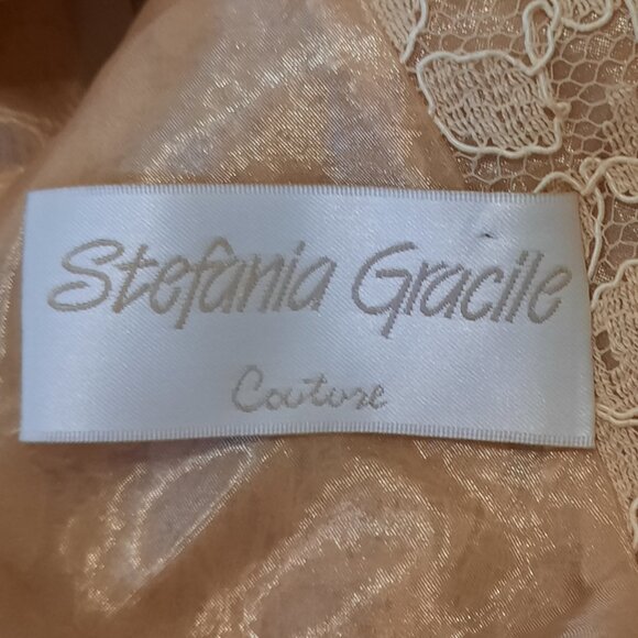 80% Evening  Dress Lace Bodice and Chiffon Skirt - Picture 7 of 7